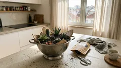 Como transformar um escorredor de cozinha num vaso com a drenagem certa