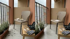 Pendurar porcas e parafusos na varanda: um truque simples para afastar pombos (e quando reforçar)