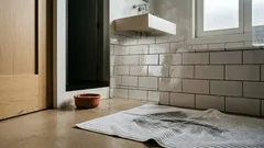 Porque é que o teu gato te segue até à casa de banho? Nem sempre é só curiosidade