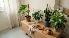 Verde em casa sem stress: 4 plantas de interior que aguentam a vida real