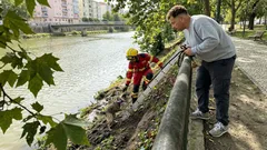 O teu cão caiu junto ao rio? O que um resgate real ensina sobre agir sem improvisos