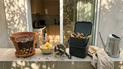 Não deite fora o sabugo do milho: como dar-lhe uma nova utilidade no jardim