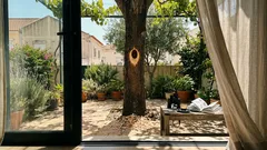 Um pica‑pau a martelar no seu jardim? Entre “sinais” e ciência, eis o que pode estar a acontecer