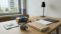 Morreu Hipólito, o hipopótamo do Bioparque de La Plata: o que se sabe — e o que ainda falta esclarecer