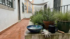 Libélulas em casa ou no jardim: o que podem estar a indicar — e como agir sem exageros